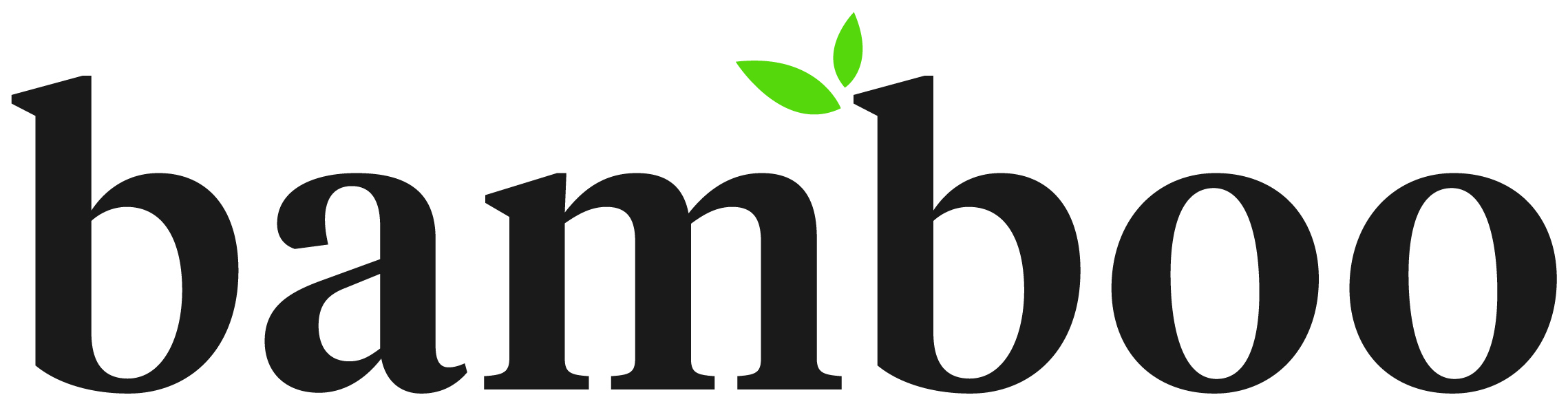 Bamboo